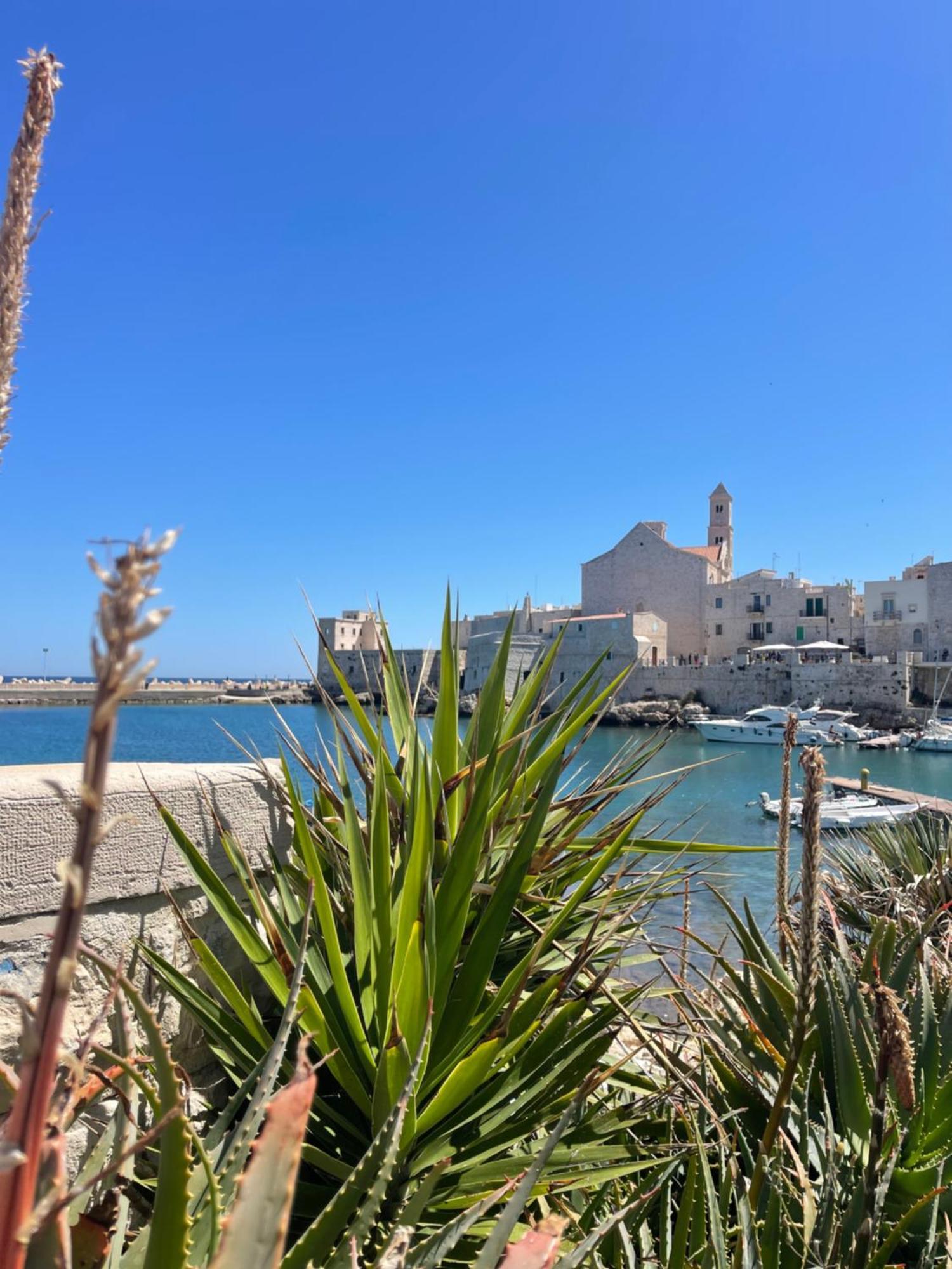 Arcomare Suite Giovinazzo Exterior photo